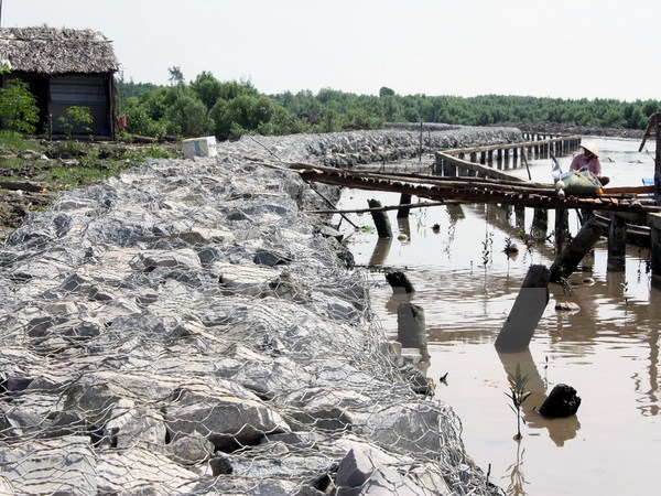 Cà[-]Mau:Hơn[-]40[-]km[-]bờ[-]biển[-]bị[-]sạt[-]lở[-]nguy[-]hiểm